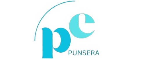 punsera.com