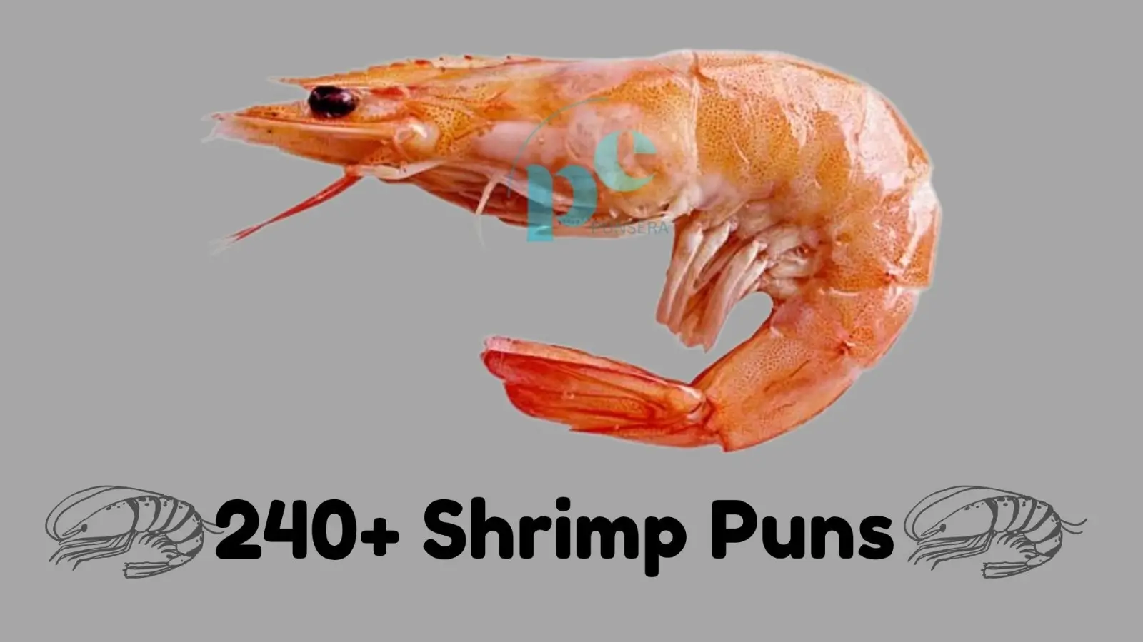 Funny cartoon shrimp illustrating clean and family-friendly shrimp puns