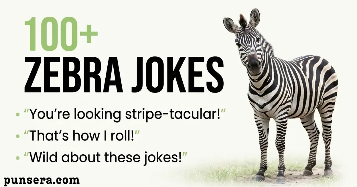 Zebra Jokes