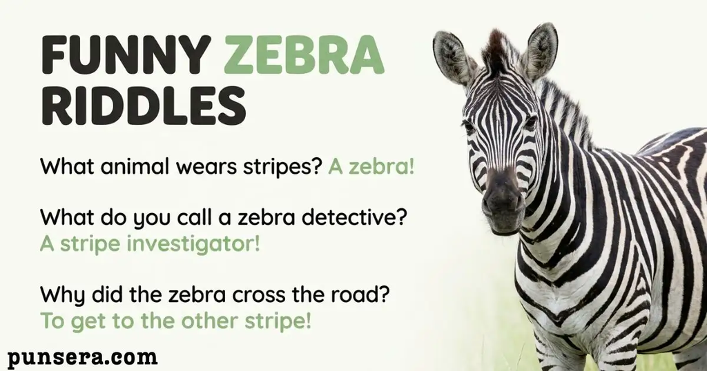 Zebra riddles
